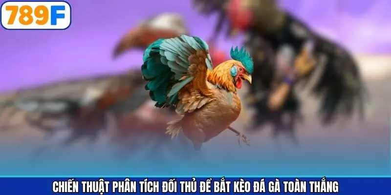 Khám phá mẹo phân tích đối thủ khi chọi kê