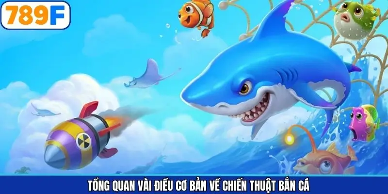 Đôi chút thông tin liên quan đến các các chiến thuật săn cá Đôi chút thông tin liên quan đến các các chiến thuật săn cá